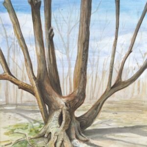 A painting of a tree and watercolor. this tree has Initials carved into a bark.